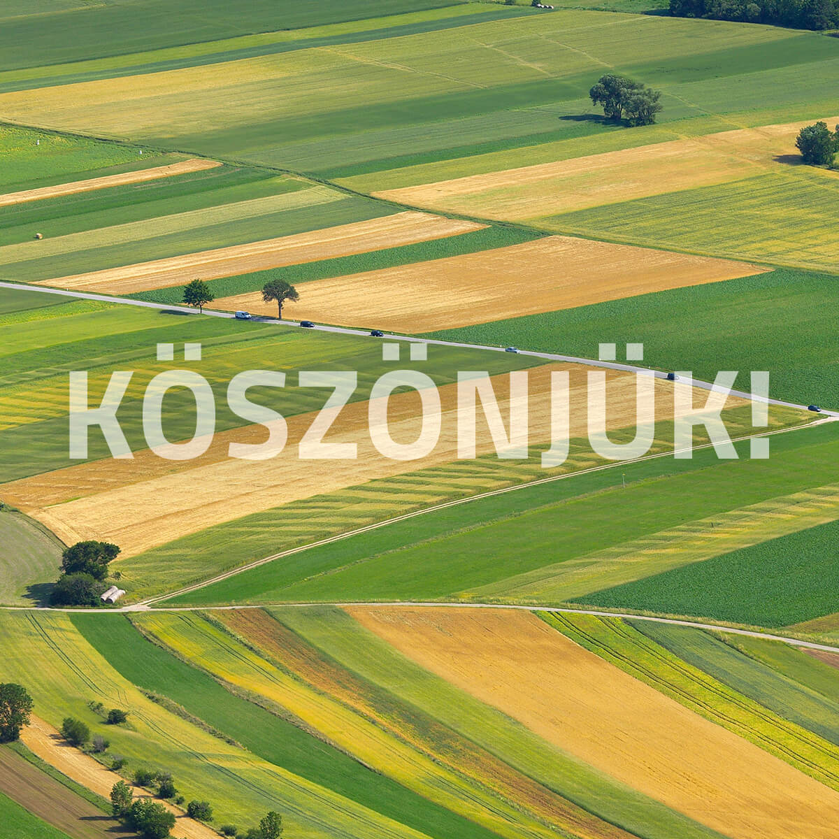 Rekord részvétel az agrárkamarai választáson